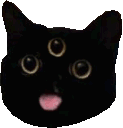 hocgif emote for Discord