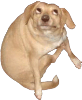 dog_meme emote for Discord