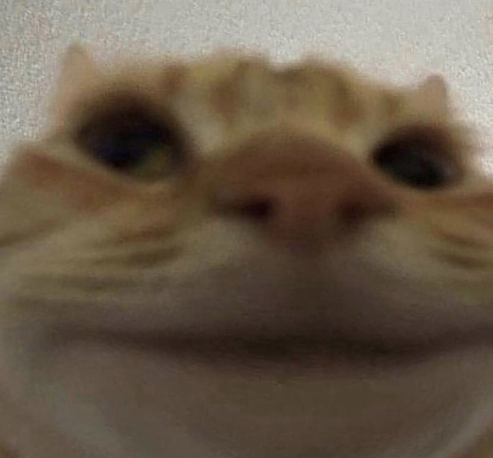 swagcat emote for Discord