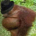 Gangsta_Monkey emote for Discord