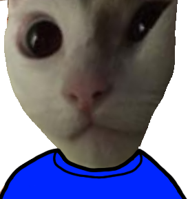 weid_cat_1 emote for Discord