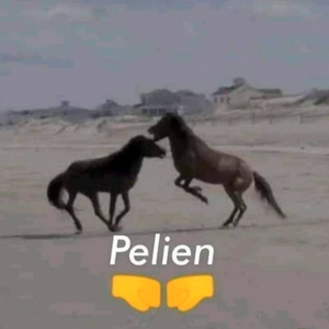 pelien emote for Discord