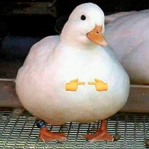 shy_duck emote for Discord