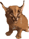 floppacute emote for Discord