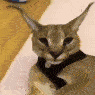 floppaletsgoo emote for Discord