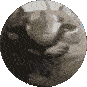 floppasphere emote for Discord