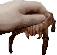 petLamarr emote for Discord