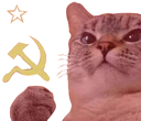 CommieCat emote for Discord