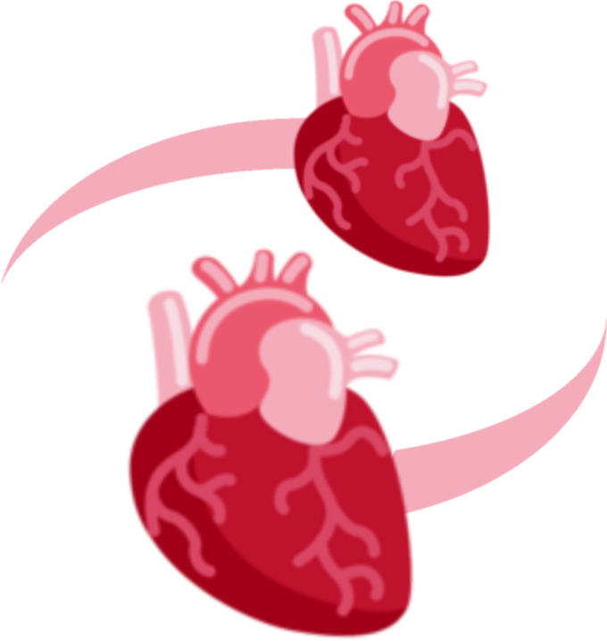 revolving_anatomical_hearts emote for Discord