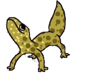 gecko_groove emote for Discord