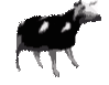 polish_cow emote for Discord