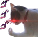 catto_dio emote for Discord