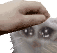 Patpat emote for Discord