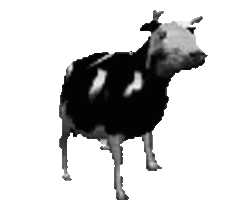 dpCow emote for Discord