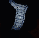 iced_out_flex emote for Discord