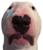 WalterSad emote for Discord