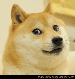 Deal_With_It_Doge emote for Discord