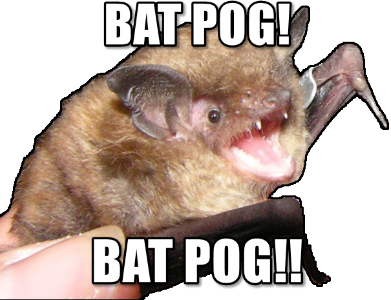batpogs emote for Discord