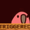 triggeredparrot emote for Discord