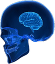 smallbrain emote for Discord