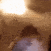 hamsterstare emote for Discord