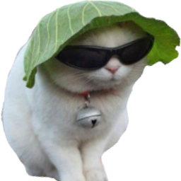 cool_cat emote for Discord