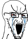 soyjak_crying emote for Discord