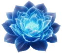 flower emote for Discord