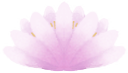 lotus_flower emote for Discord
