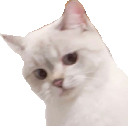 NanaNope emote for Discord