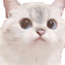 NanaStare emote for Discord