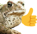 ToadOk emote for Discord