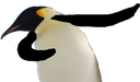 PinguDab emote for Discord