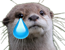 OtterSad emote for Discord