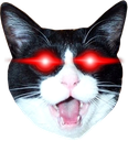 lazercat emote for Discord