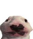 walterbonk emote for Discord