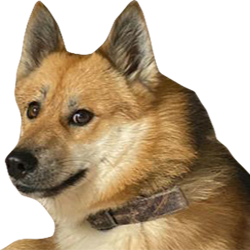 doge2 emote for Discord