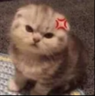 kitty_mad static emote