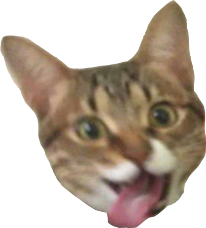 excited_cat emote for Discord