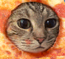 PizzaCat emote for Discord