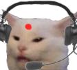 indian_IT_cat emote for Discord