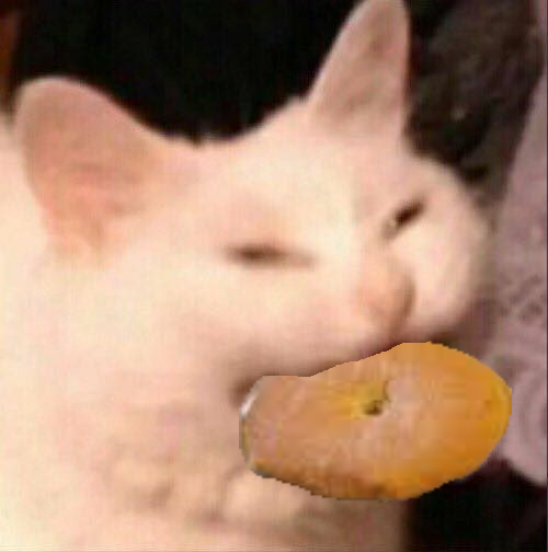 bagelcat emote for Discord