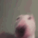 waltervibe emote for Discord