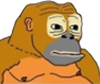 monkey emote for Discord