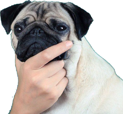 thinkingpug emote for Discord