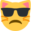 disapproving_cool_kitty emote for Discord