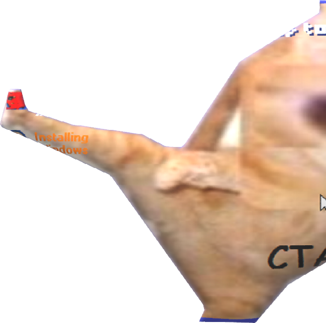 CT emote for Discord