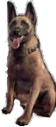 BulletTheDoggo emote for Discord