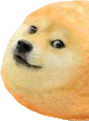 doge_twinkie1 emote for Discord