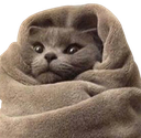 comfycat emote for Discord